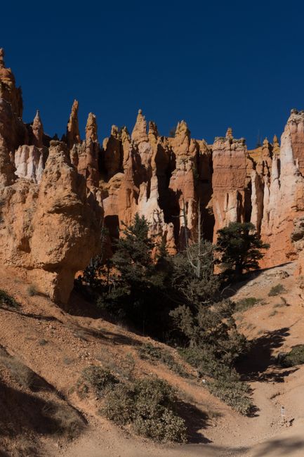 The image depicts a natural landscape with tall, vertical rock formations featuring layered textures in shades of orange, red, and beige, set against a clear blue sky. In the foreground, there is a sloped, sandy area with sparse vegetation including small bushes and a few trees with dark green foliage, some of which are partially shadowed, indicating sunlight from the right side. The rocky structures appear rugged and weathered, characteristic of a desert or canyon environment. The scene conveys a dry, arid atmosphere, often associated with outdoor landscapes that might be targeted for clean-up or preservation, reflecting themes relevant to waste management and environmental conservation efforts. Despite the natural setting, this visual could also serve as an illustration for outdoor adventure or eco-friendly initiatives related to responsible disposal or site clearance by waste disposal companies such as Waste Disposal Queen's Park, although no specific equipment or human activity is visible in the image.