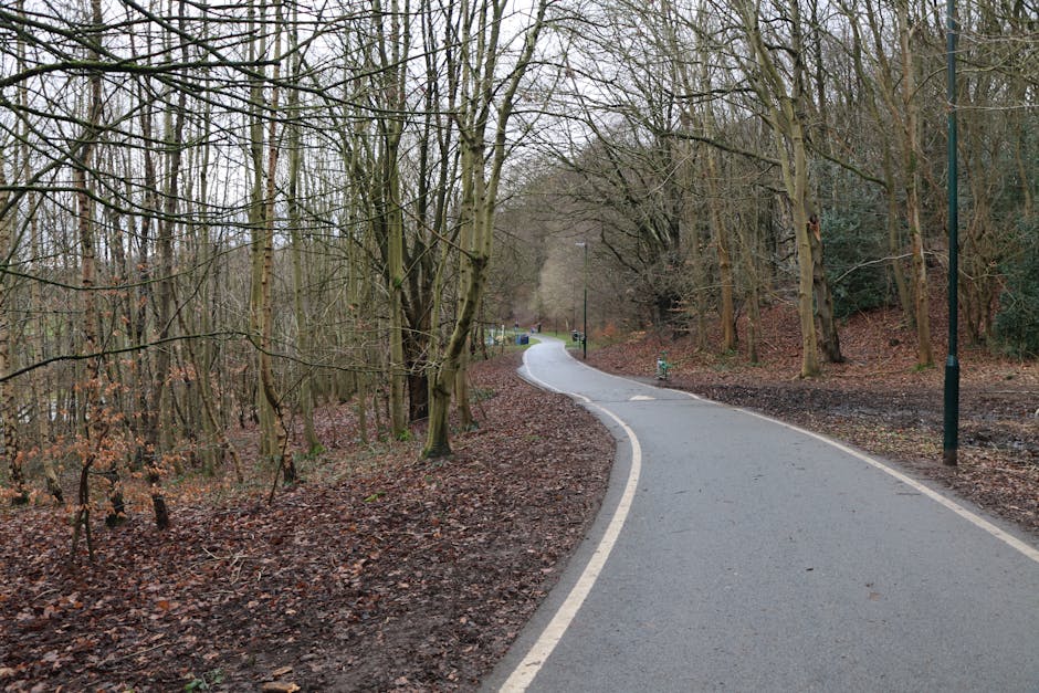 A narrow winding asphalt pathway through a wooded area with leafless trees on either side. The path has a single solid white line marking its edge and curves gently into the distance. On the right, there are several black metal lampposts evenly spaced along the pathway, providing illumination during darker hours. The ground surrounding the path is covered with fallen brown leaves and patches of bare soil, with some small green shrubs visible among the trees. The environment appears quiet and natural, with muted lighting suggesting an overcast sky, typical of late autumn or winter. This scene could be part of a public park or nature reserve, often cleared or maintained by waste disposal services to ensure cleanliness and safety. Waste Disposal Queen's Park offers independent rubbish collection in such outdoor areas, supporting proper waste handling and environmental upkeep of spaces akin to this woodland corridor.